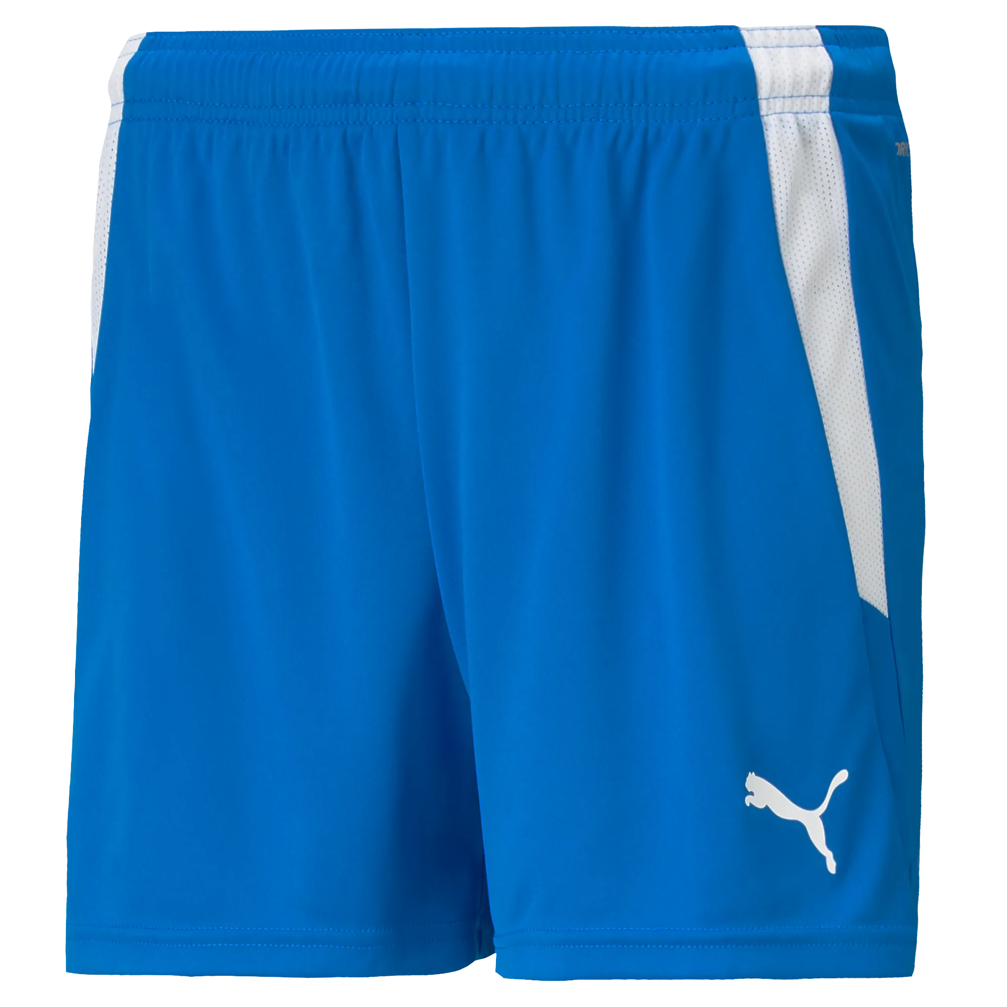 Puma Team Liga 25 Shorts Womens