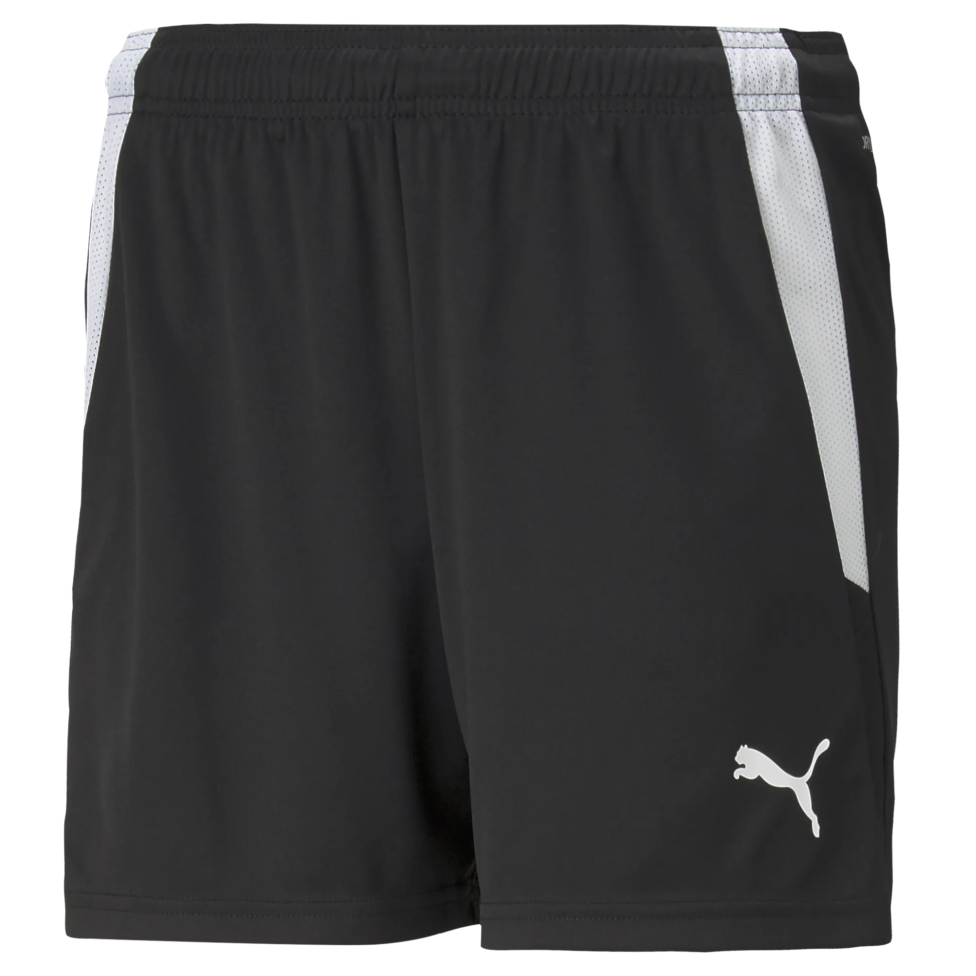 Puma Team Liga 25 Shorts Womens