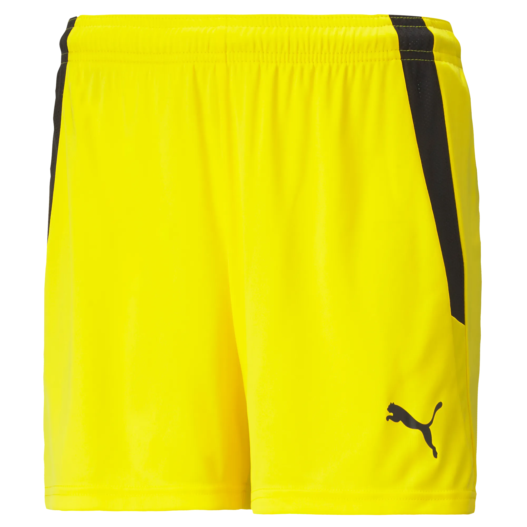 Puma Team Liga 25 Shorts Womens