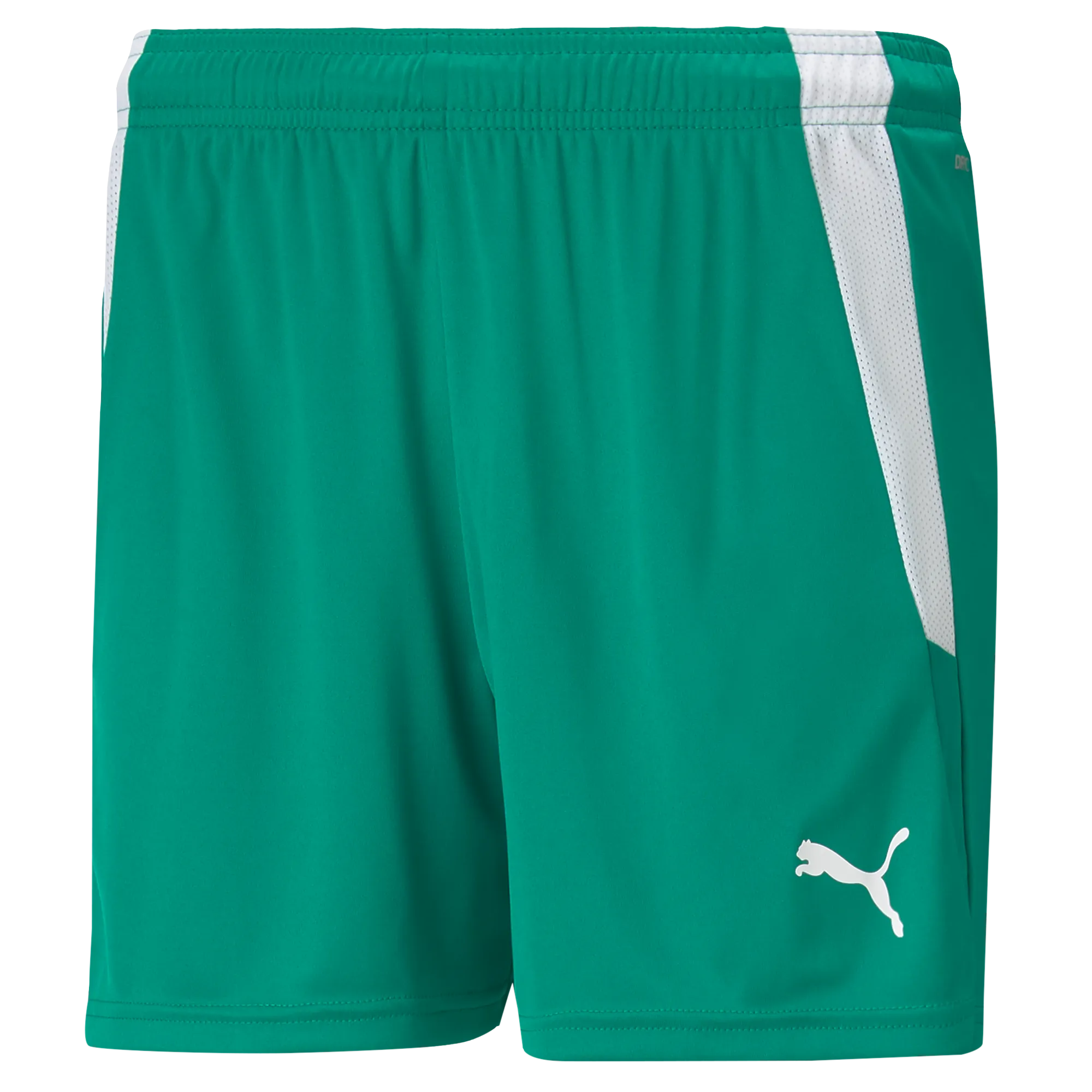 Puma Team Liga 25 Shorts Womens