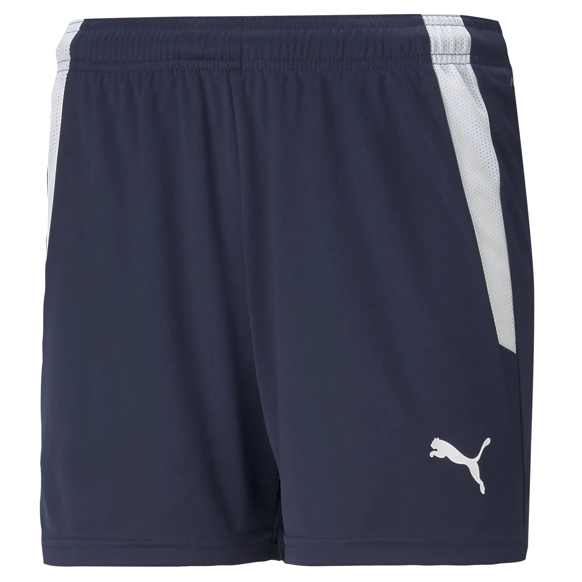 Puma Team Liga 25 Shorts Womens