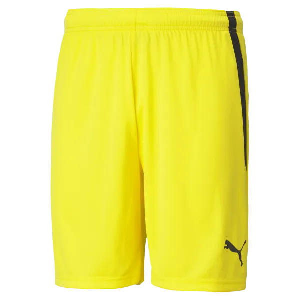 Puma Team Liga 25 Shorts