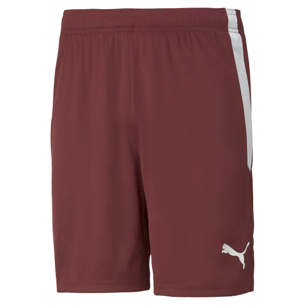 Puma Team Liga 25 Shorts