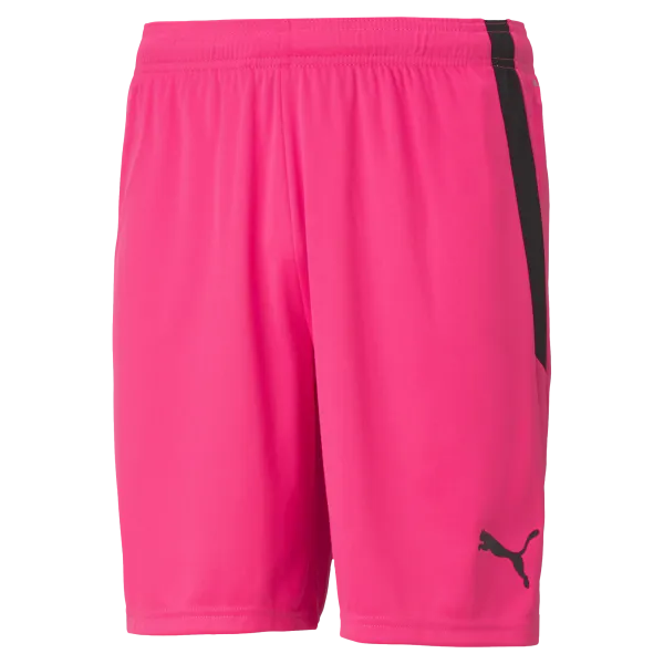 Puma Team Liga 25 Shorts