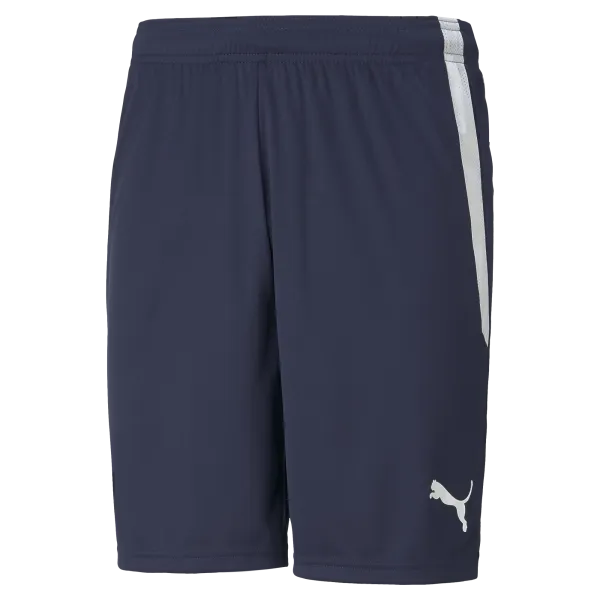 Puma Team Liga 25 Shorts