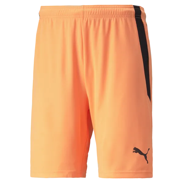 Puma Team Liga 25 Shorts