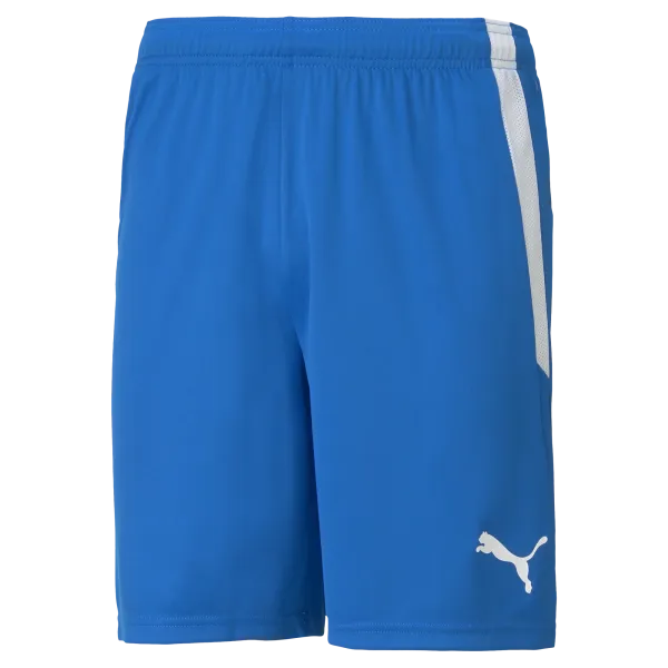 Puma Team Liga 25 Shorts