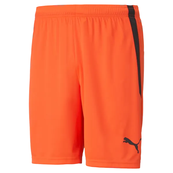 Puma Team Liga 25 Shorts
