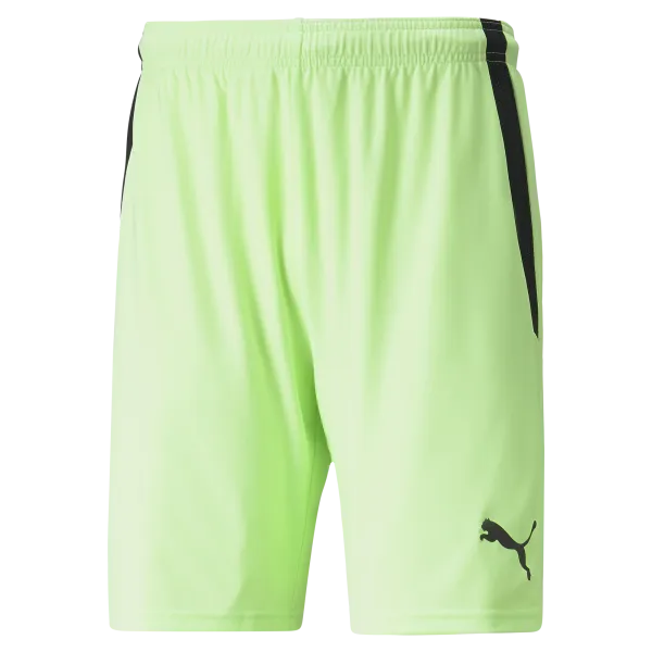 Puma Team Liga 25 Shorts
