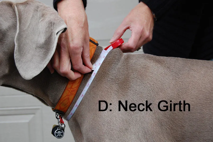 Winter Coat for Long & Lean Dogs - "Great White North" by Chilly Dogs