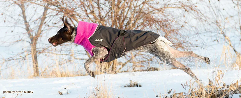 Winter Coat for Long & Lean Dogs - "Great White North" by Chilly Dogs
