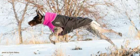 Winter Coat for Long & Lean Dogs - "Great White North" by Chilly Dogs